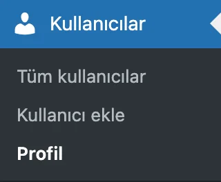 WordPress Kullanıcılar menüsü, Profil seçili