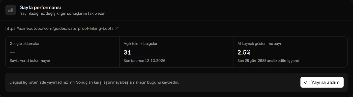 Google tıklamaları, açık bulgular ve AI kaynak payıyla sayfa performansı, eksik doğrudan cevapla ilgili bir bulgu
